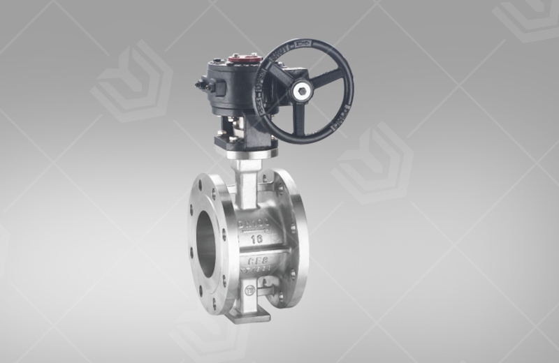 Stainless Steel Flanged Butterfly Valve（Worm Gear）(图1)