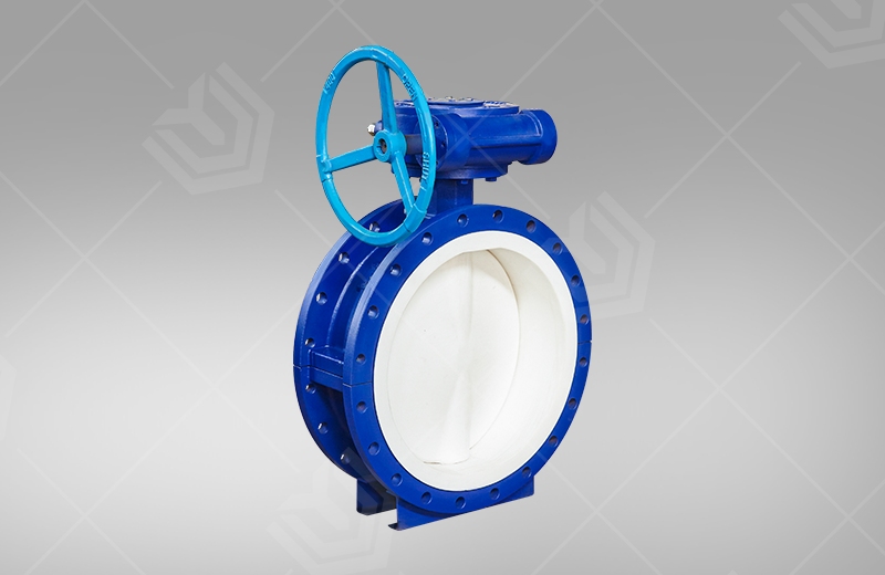 Lined Butterfly Valve (Flange) (图1)