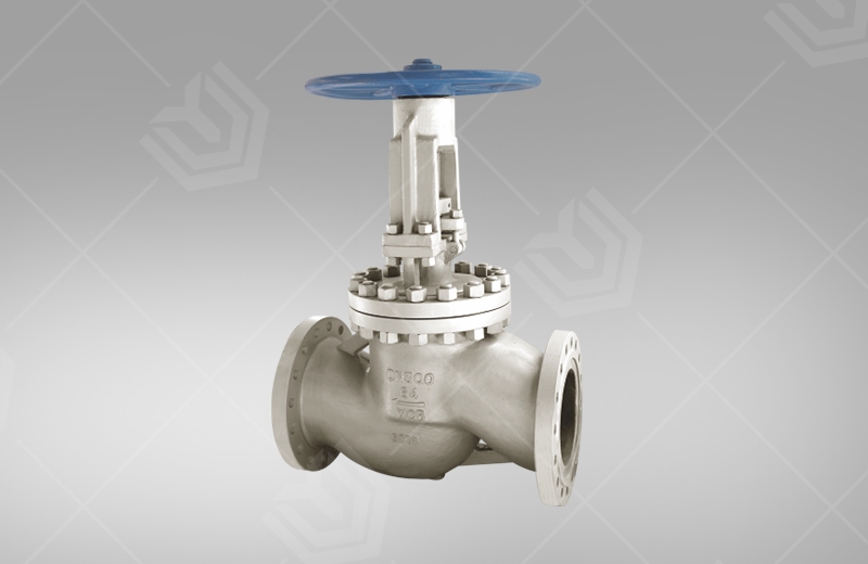 CNS cast steel globe valve