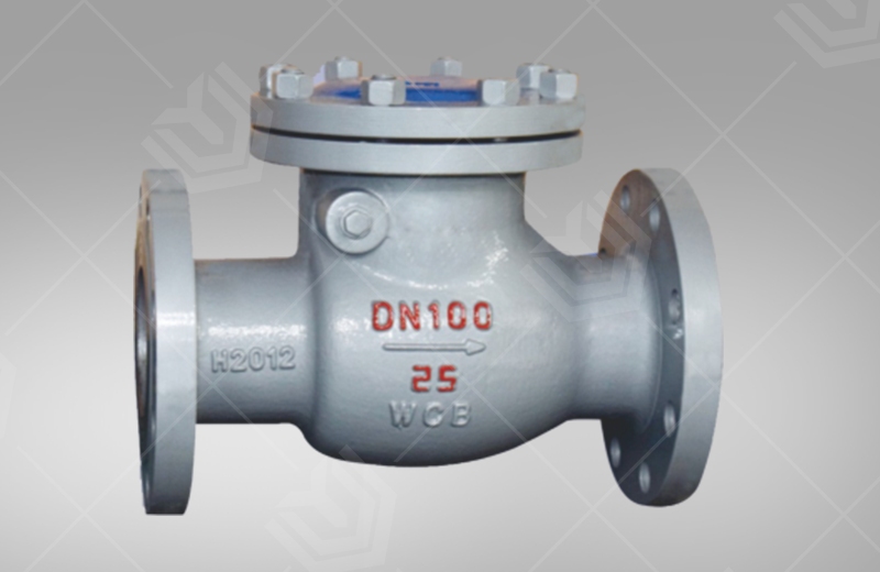 Flange connected swing check valve