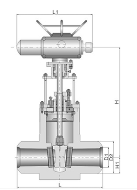 电动锻造高压闸阀(图1)