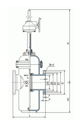 锻焊带导流孔平板闸阀(图1)