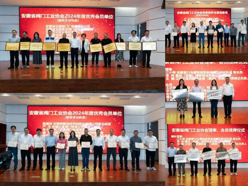 安徽省阀门工业协会一届三次会员大会暨一届四次理事会在铜陵召开(图6) 安徽省阀门工业协会一届三次会员大会暨一届四次理事会在铜陵召开(图6)